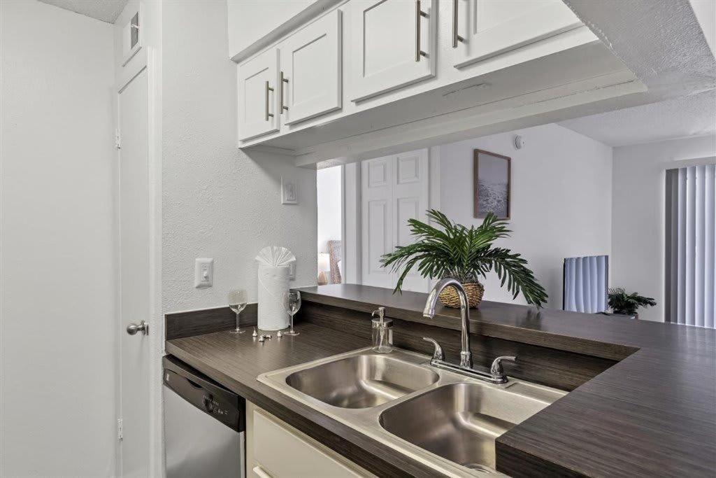 Special Apartment 1Br With Gym And Parking Bradenton Eksteriør billede