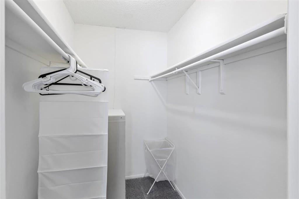 Special Apartment 1Br With Gym And Parking Bradenton Eksteriør billede